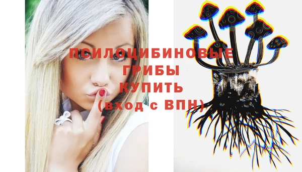 apvp Алексеевка
