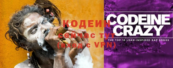 молекула духа Вуктыл