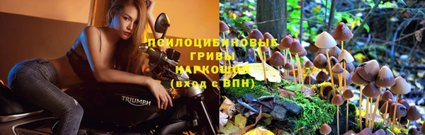 Альфа ПВП Пролетарск
