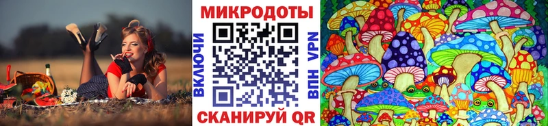 хочу наркоту  Лесной  Галлюциногенные грибы прущие грибы 
