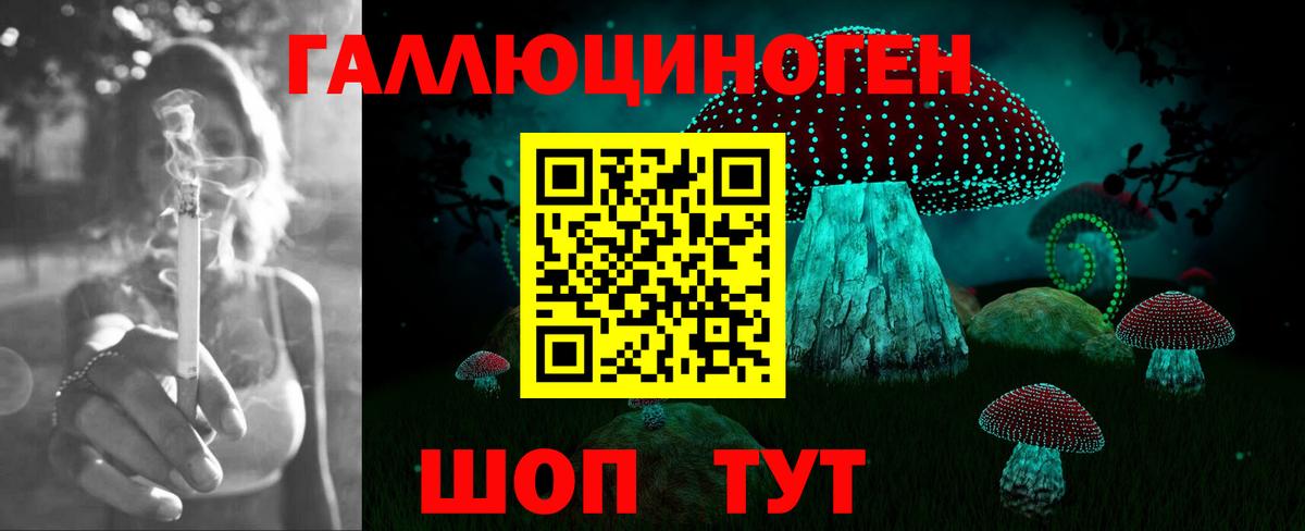Псилоцибиновые грибы мицелий Лесной